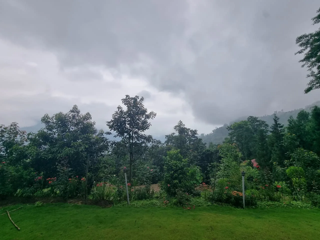 Garden view
